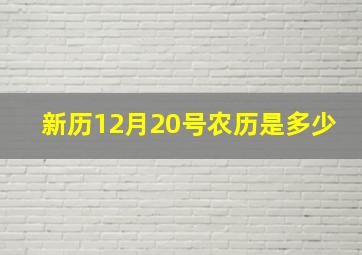 新历12月20号农历是多少