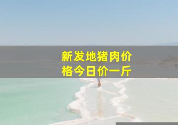 新发地猪肉价格今日价一斤