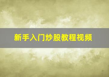 新手入门炒股教程视频