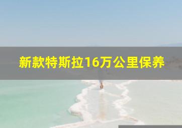 新款特斯拉16万公里保养