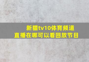 新疆tv10体育频道直播在哪可以看回放节目