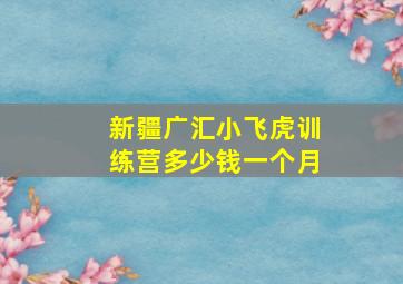 新疆广汇小飞虎训练营多少钱一个月