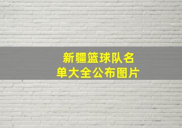 新疆篮球队名单大全公布图片