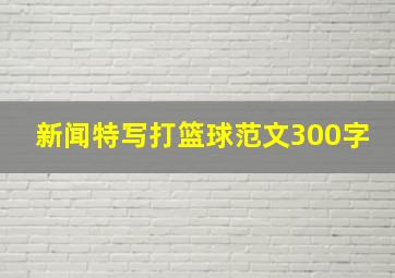 新闻特写打篮球范文300字