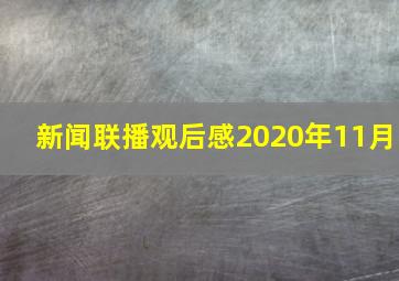 新闻联播观后感2020年11月