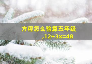 方程怎么验算五年级,12+3x=48