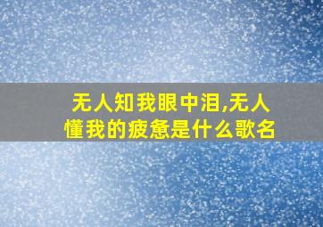 无人知我眼中泪,无人懂我的疲惫是什么歌名