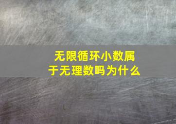 无限循环小数属于无理数吗为什么