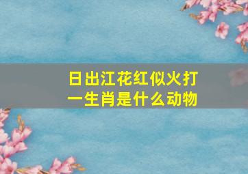 日出江花红似火打一生肖是什么动物