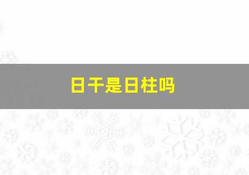 日干是日柱吗