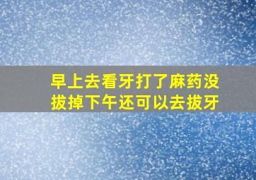 早上去看牙打了麻药没拔掉下午还可以去拔牙