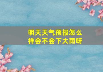 明天天气预报怎么样会不会下大雨呀