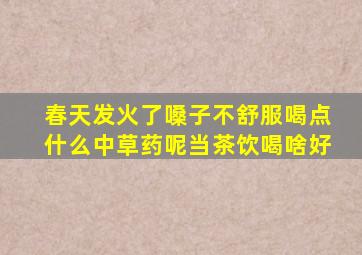 春天发火了嗓子不舒服喝点什么中草药呢当茶饮喝啥好