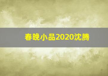 春晚小品2020沈腾