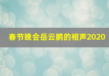 春节晚会岳云鹏的相声2020