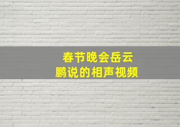 春节晚会岳云鹏说的相声视频