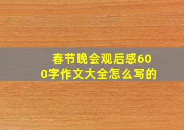 春节晚会观后感600字作文大全怎么写的