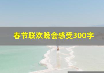 春节联欢晚会感受300字