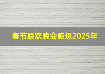 春节联欢晚会感想2025年