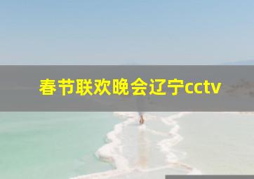 春节联欢晚会辽宁cctv