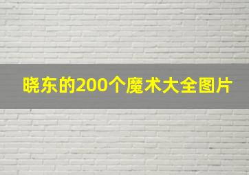 晓东的200个魔术大全图片