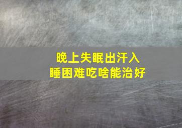 晚上失眠出汗入睡困难吃啥能治好