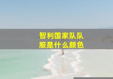 智利国家队队服是什么颜色