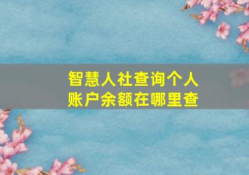 智慧人社查询个人账户余额在哪里查