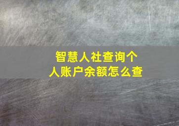 智慧人社查询个人账户余额怎么查