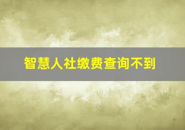 智慧人社缴费查询不到