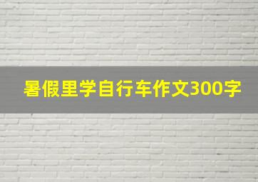 暑假里学自行车作文300字