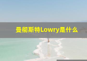 曼彻斯特Lowry是什么