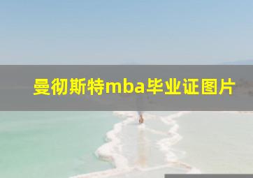 曼彻斯特mba毕业证图片