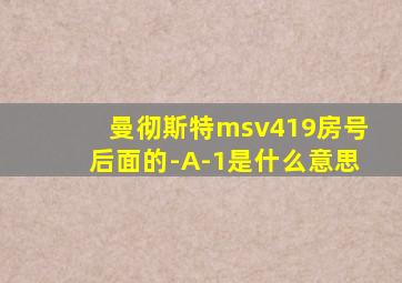 曼彻斯特msv419房号后面的-A-1是什么意思