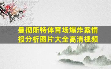 曼彻斯特体育场爆炸案情报分析图片大全高清视频