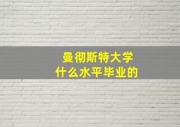 曼彻斯特大学什么水平毕业的