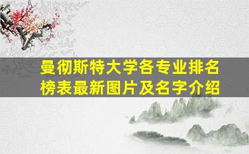 曼彻斯特大学各专业排名榜表最新图片及名字介绍