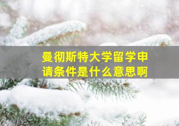 曼彻斯特大学留学申请条件是什么意思啊