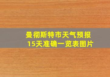 曼彻斯特市天气预报15天准确一览表图片