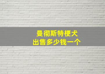 曼彻斯特梗犬出售多少钱一个