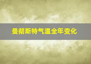 曼彻斯特气温全年变化