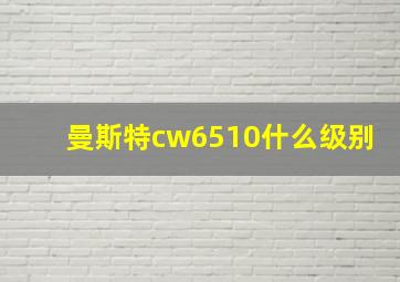 曼斯特cw6510什么级别