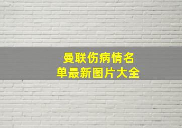 曼联伤病情名单最新图片大全