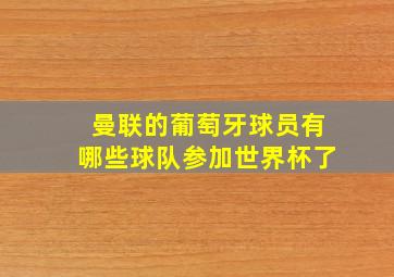 曼联的葡萄牙球员有哪些球队参加世界杯了