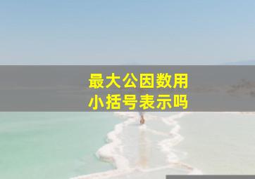 最大公因数用小括号表示吗