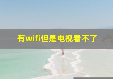 有wifi但是电视看不了