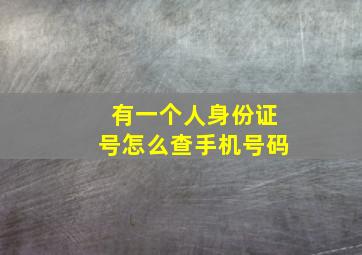 有一个人身份证号怎么查手机号码