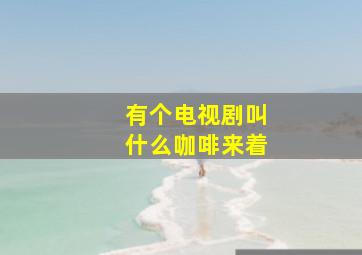 有个电视剧叫什么咖啡来着