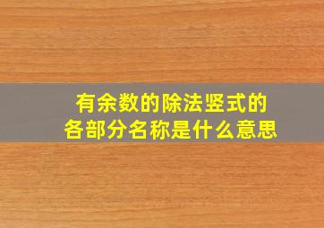 有余数的除法竖式的各部分名称是什么意思