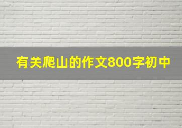 有关爬山的作文800字初中